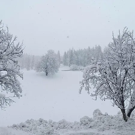 Haus Moser Apartmán