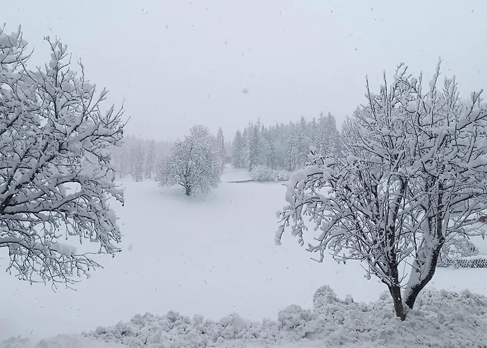 Haus Moser Apartment